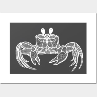 Cute Crab - detailed ghost crab drawing Posters and Art